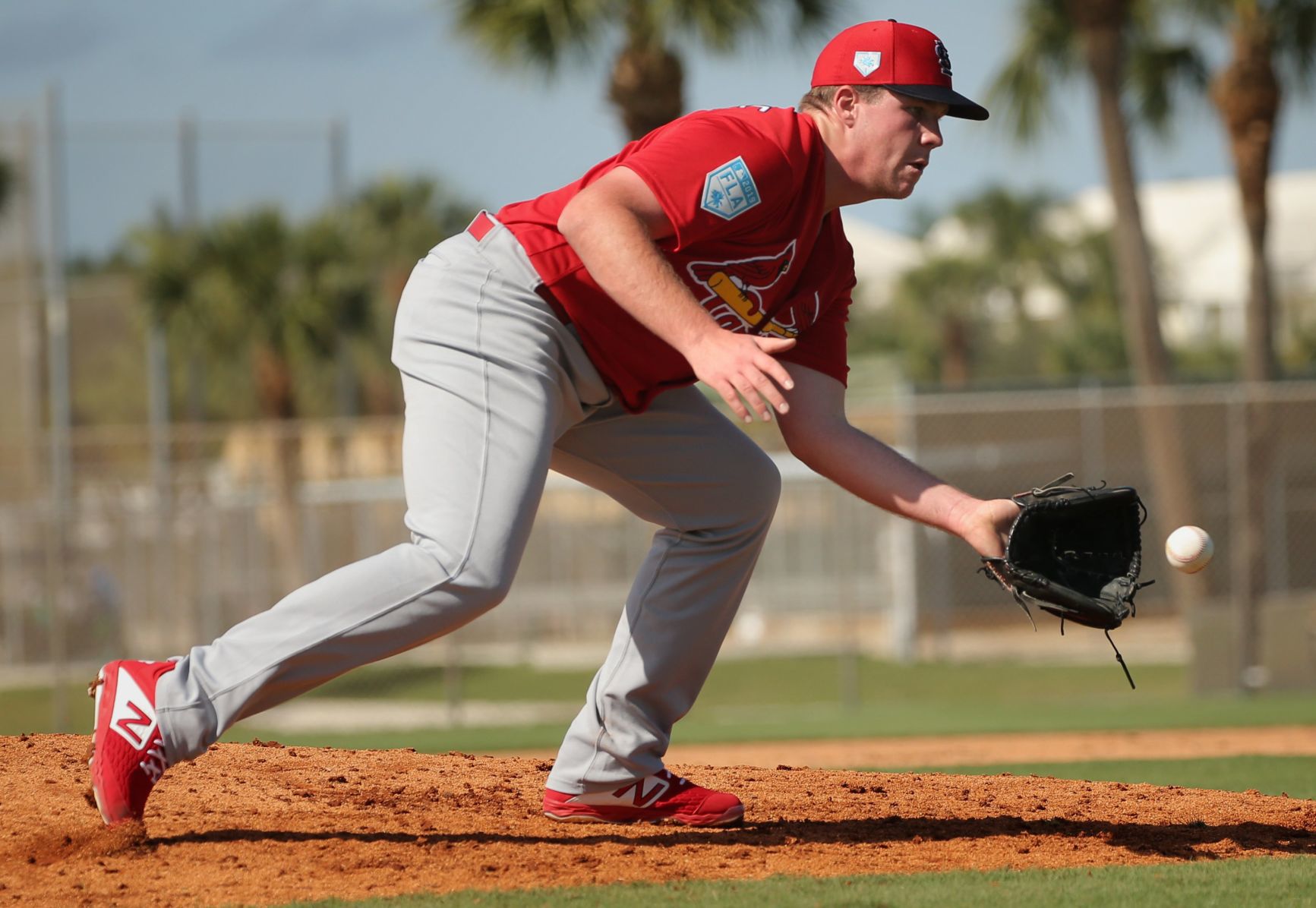 2019 Cardinals spring training